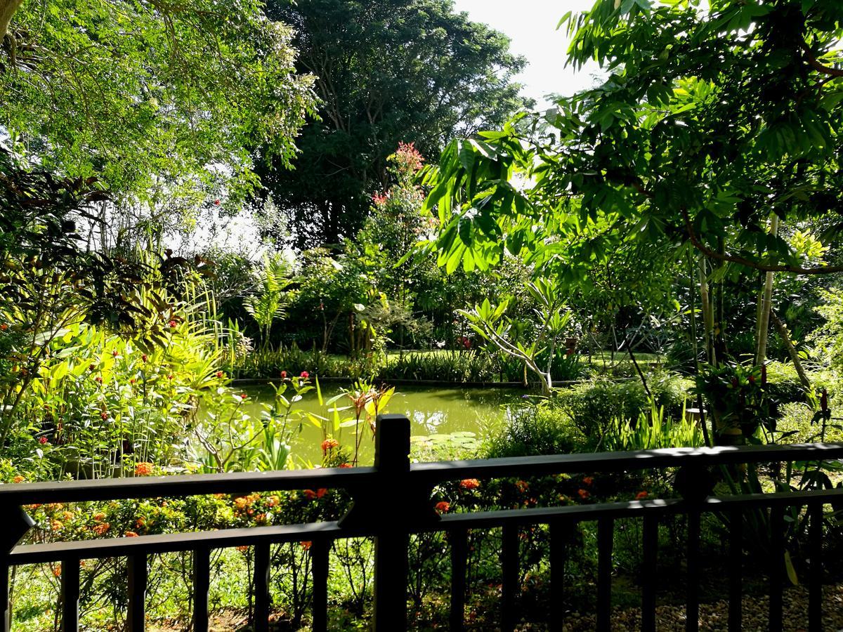 Villa Albizia, Chiang Mai Doi Saket Exteriör bild