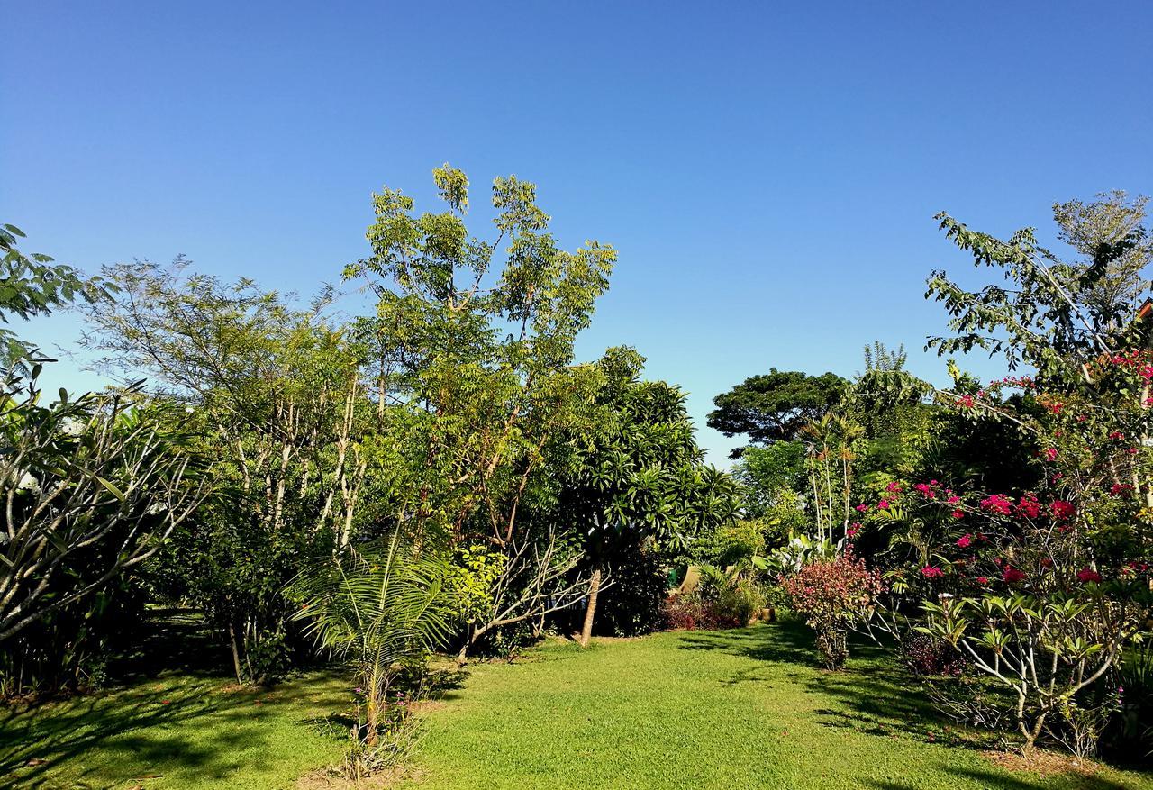 Villa Albizia, Chiang Mai Doi Saket Exteriör bild
